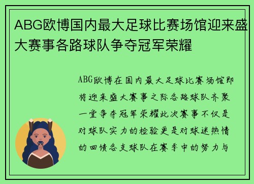 ABG欧博国内最大足球比赛场馆迎来盛大赛事各路球队争夺冠军荣耀